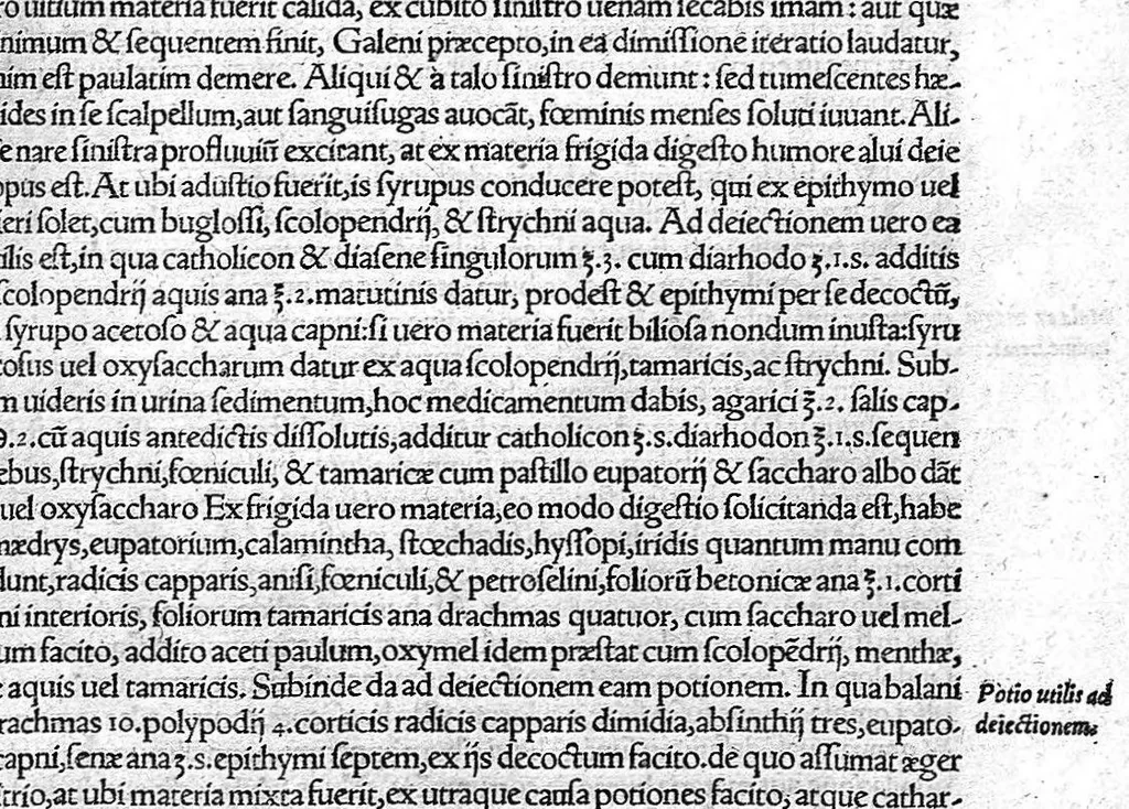 An illustration from De remedica opus insigne, 1549, leaf 338