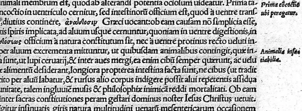 An illustration from De remedica opus insigne, 1549, leaf 350
