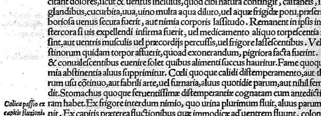 An illustration from De remedica opus insigne, 1549, leaf 357