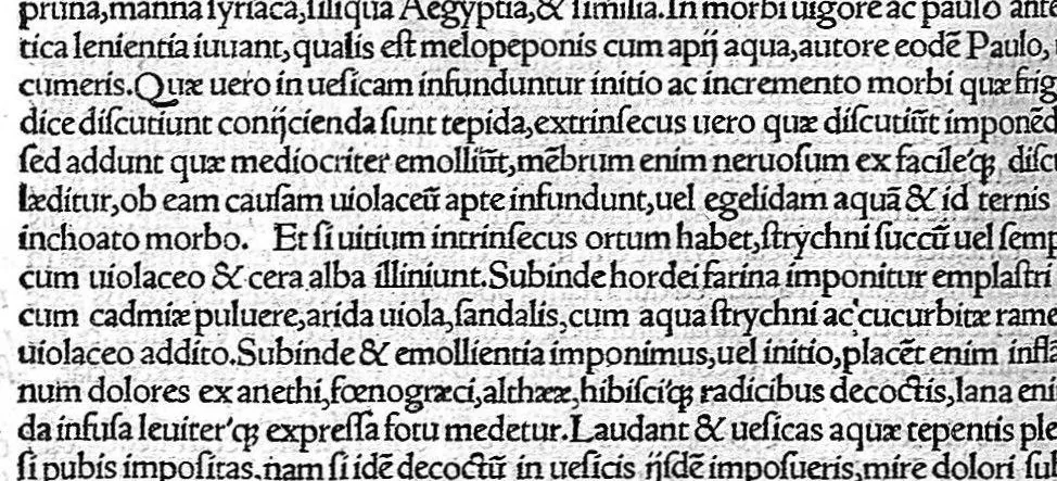 An illustration from De remedica opus insigne, 1549, leaf 451