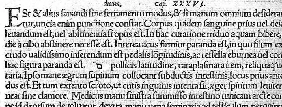 An illustration from De remedica opus insigne, 1549, leaf 485
