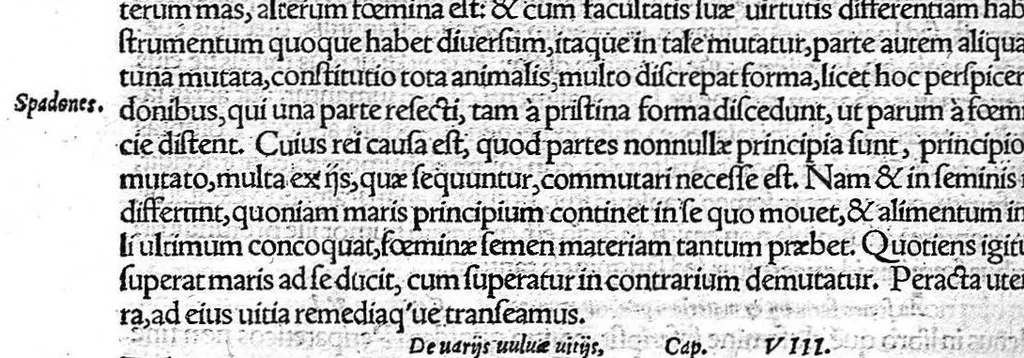 An illustration from De remedica opus insigne, 1549, leaf 493