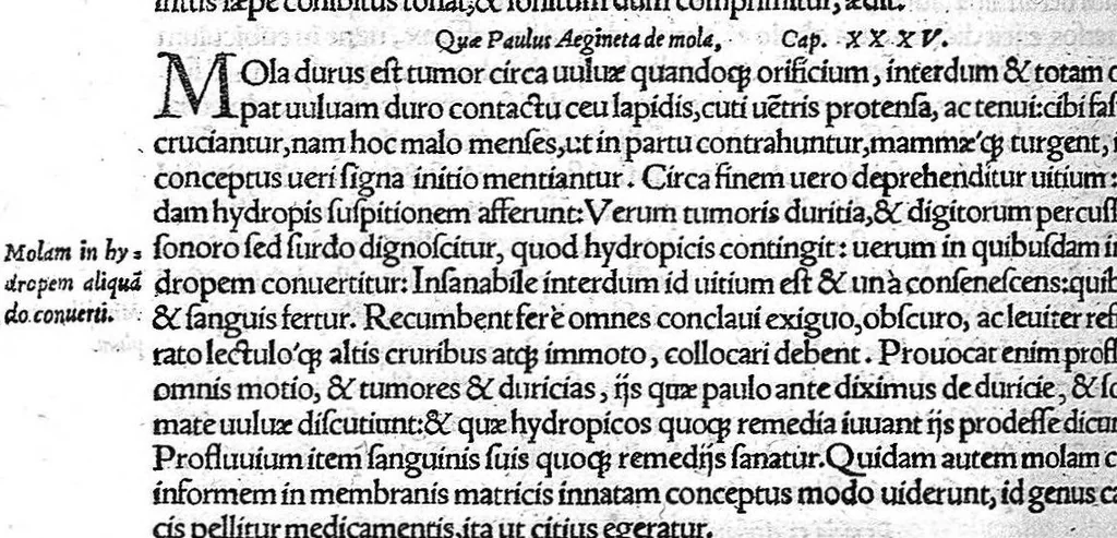 An illustration from De remedica opus insigne, 1549, leaf 509