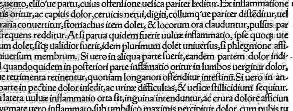 An illustration from De remedica opus insigne, 1549, leaf 524