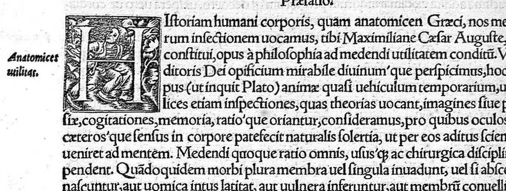 An illustration from De remedica opus insigne, 1549, leaf 603