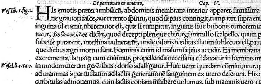 An illustration from De remedica opus insigne, 1549, leaf 611