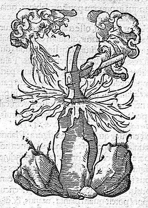 An illustration from De remedica opus insigne, 1549, leaf 651