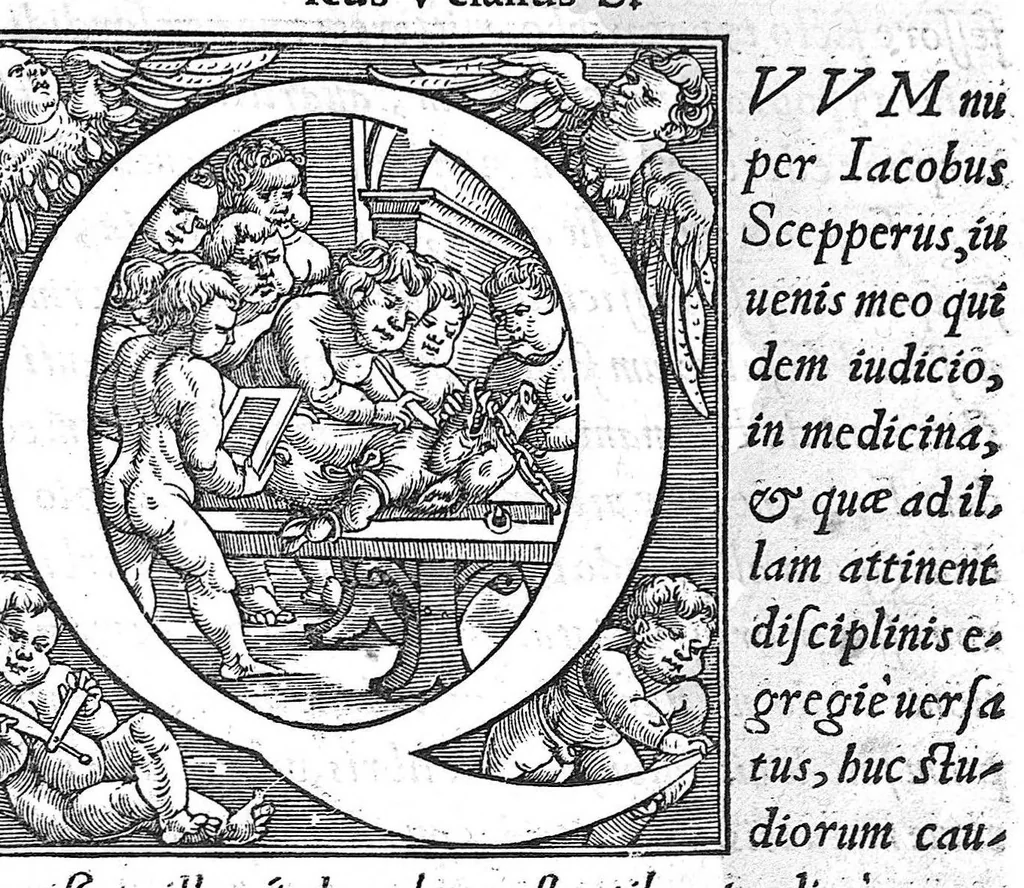 An illustration from Andreae Vesalii Bruxellensis, medici caesarei Epistola, rationem modumque propinandi radicis Chynae decocti, quo nuper invictissimus Carolus V. imperator usus est, pertractans : & praeter alia quaedam, epistolae cuiusdam ad Iacobum Sylvium sententiam recensens, veritatis ac potissimum humanae fabricae studiosis perutilem: quum qui hactenus in illa nimium Galeno creditum sit, facile commonstret. Accessit quoq[ue] locuples rerum & verborum in hac ipsa epistola memorabilium, Index., 1546, leaf 1