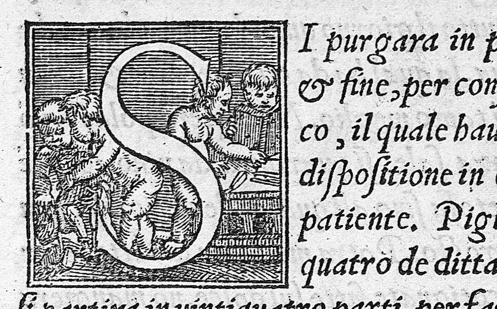 An illustration from Andreae Vesalii Bruxellensis, medici caesarei Epistola, rationem modumque propinandi radicis Chynae decocti, quo nuper invictissimus Carolus V. imperator usus est, pertractans : & praeter alia quaedam, epistolae cuiusdam ad Iacobum Sylvium sententiam recensens, veritatis ac potissimum humanae fabricae studiosis perutilem: quum qui hactenus in illa nimium Galeno creditum sit, facile commonstret. Accessit quoq[ue] locuples rerum & verborum in hac ipsa epistola memorabilium, Index., 1546, leaf 199