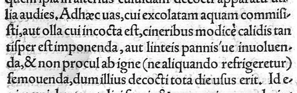 An illustration from Andreae Vesalii Bruxellensis, medici caesarei Epistola, rationem modumque propinandi radicis Chynae decocti, quo nuper invictissimus Carolus V. imperator usus est, pertractans : & praeter alia quaedam, epistolae cuiusdam ad Iacobum Sylvium sententiam recensens, veritatis ac potissimum humanae fabricae studiosis perutilem: quum qui hactenus in illa nimium Galeno creditum sit, facile commonstret. Accessit quoq[ue] locuples rerum & verborum in hac ipsa epistola memorabilium, Index., 1546, leaf 22