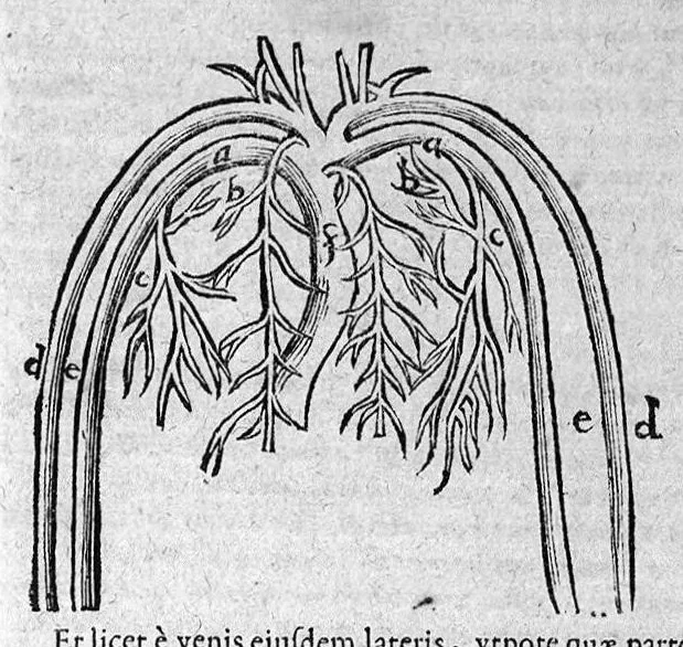 An illustration from Danielis Sennerti,... Operum, tomus secundus, 1650, leaf 731