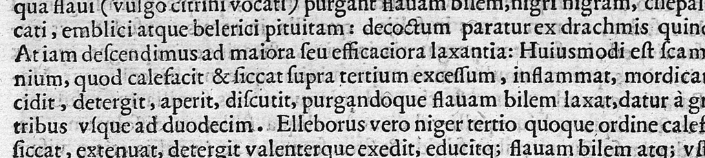 An illustration from De medicina methodica libri tredicim, 1611, leaf 140