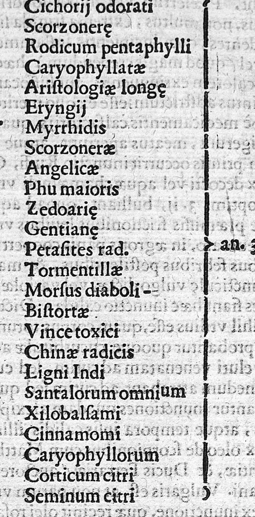 An illustration from De medicina methodica libri tredicim, 1611, leaf 220