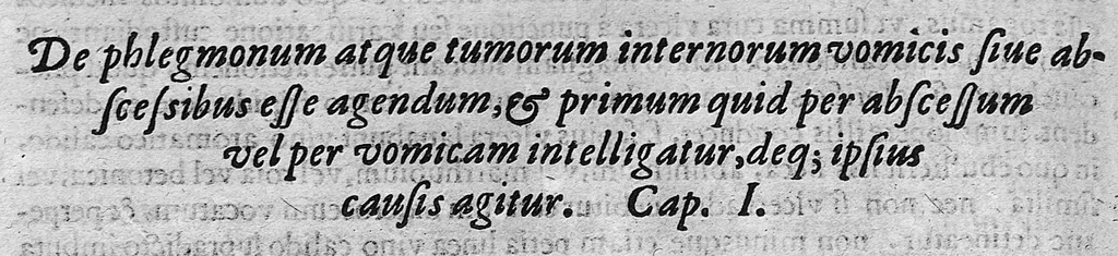 An illustration from De medicina methodica libri tredicim, 1611, leaf 302