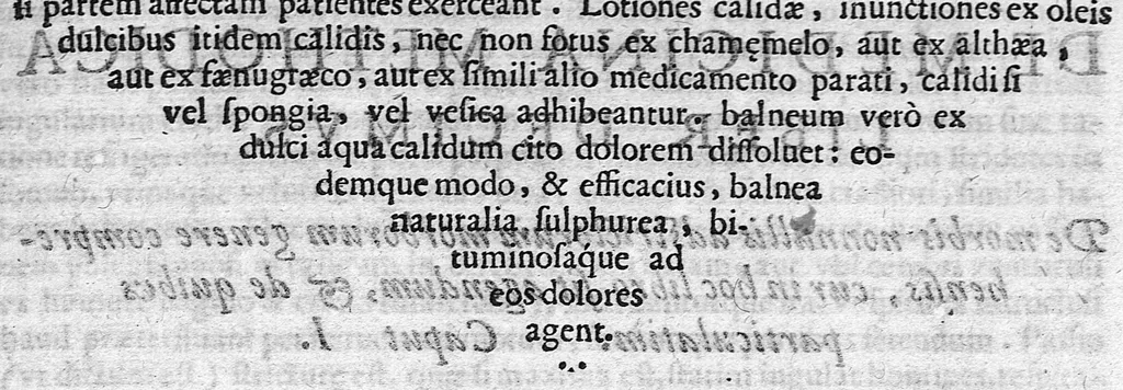 An illustration from De medicina methodica libri tredicim, 1611, leaf 363
