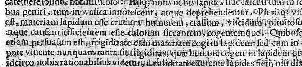 An illustration from De medicina methodica libri tredicim, 1611, leaf 400