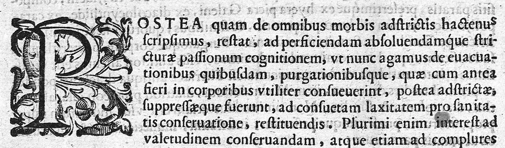 An illustration from De medicina methodica libri tredicim, 1611, leaf 408