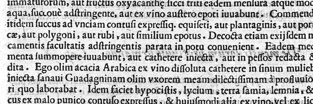 An illustration from De medicina methodica libri tredicim, 1611, leaf 448