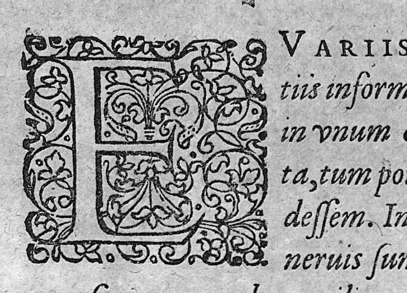 An illustration from Alchymiae, 1606, leaf 13