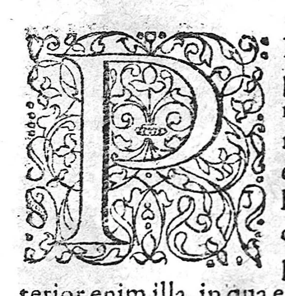 An illustration from Alchymiae, 1606, leaf 521
