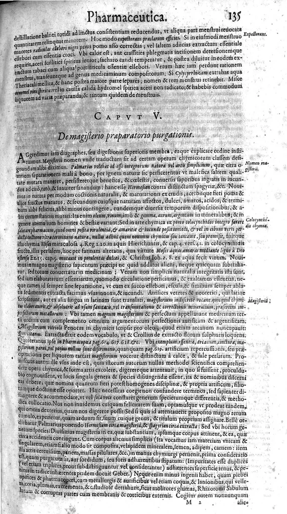 An illustration from Syntagmatis selectorum undiquaque et perspicue traditorum alchymiæ arcanorum, tomus secundus, 1613, leaf 146