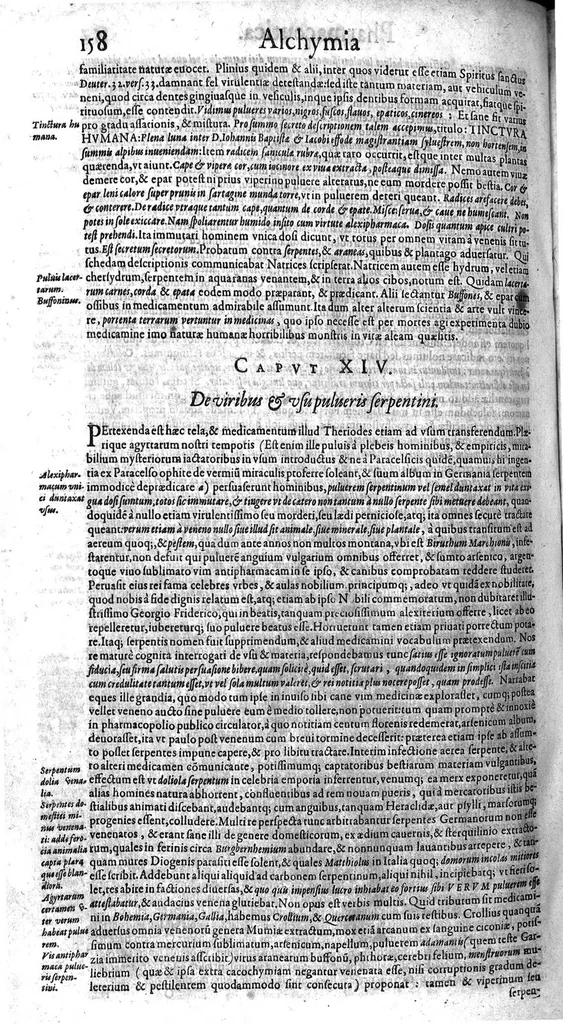 An illustration from Syntagmatis selectorum undiquaque et perspicue traditorum alchymiæ arcanorum, tomus secundus, 1613, leaf 169