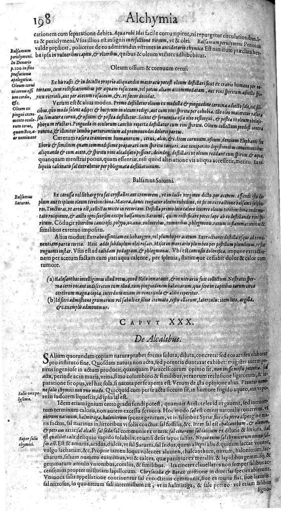 An illustration from Syntagmatis selectorum undiquaque et perspicue traditorum alchymiæ arcanorum, tomus secundus, 1613, leaf 209