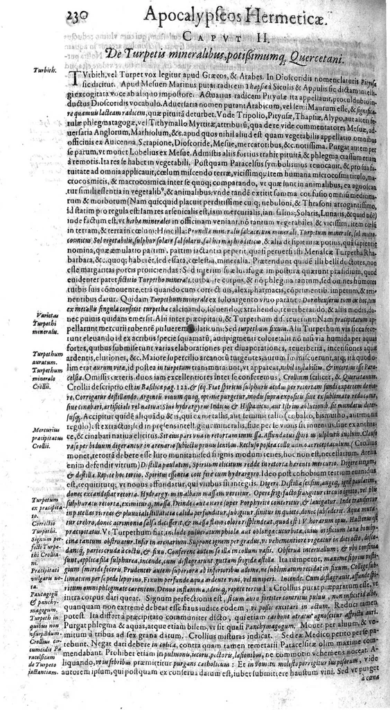 An illustration from Syntagmatis selectorum undiquaque et perspicue traditorum alchymiæ arcanorum, tomus secundus, 1613, leaf 241