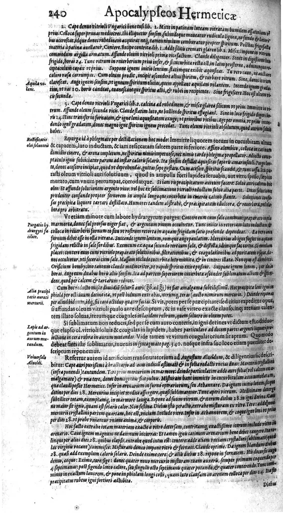 An illustration from Syntagmatis selectorum undiquaque et perspicue traditorum alchymiæ arcanorum, tomus secundus, 1613, leaf 251