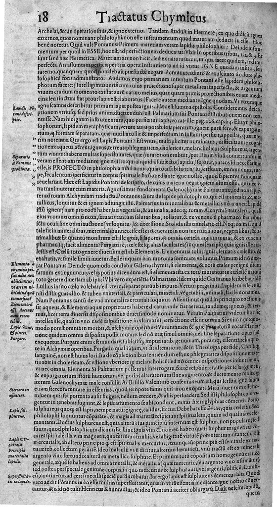 An illustration from Syntagmatis selectorum undiquaque et perspicue traditorum alchymiæ arcanorum, tomus secundus, 1613, leaf 29