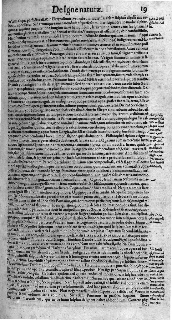 An illustration from Syntagmatis selectorum undiquaque et perspicue traditorum alchymiæ arcanorum, tomus secundus, 1613, leaf 32
