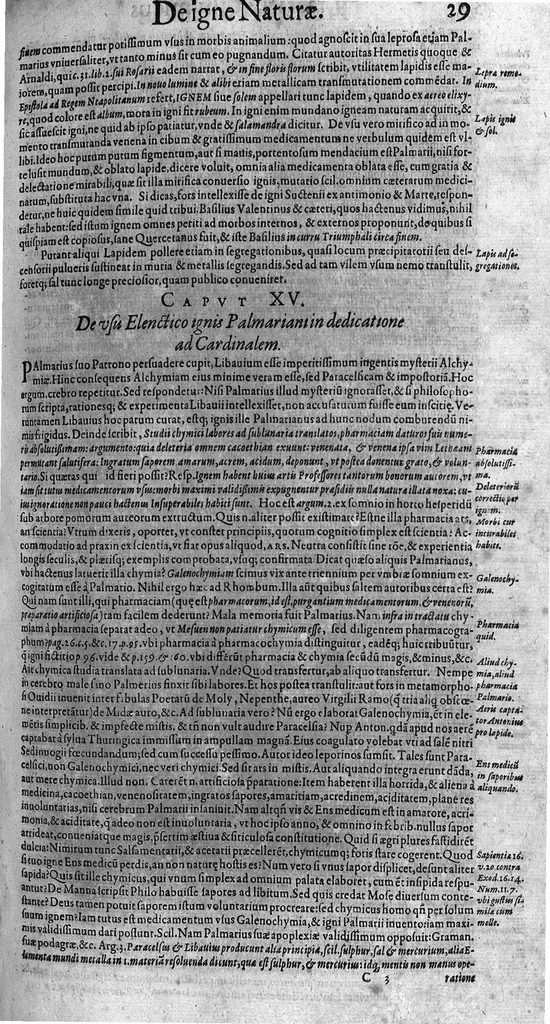 An illustration from Syntagmatis selectorum undiquaque et perspicue traditorum alchymiæ arcanorum, tomus secundus, 1613, leaf 40