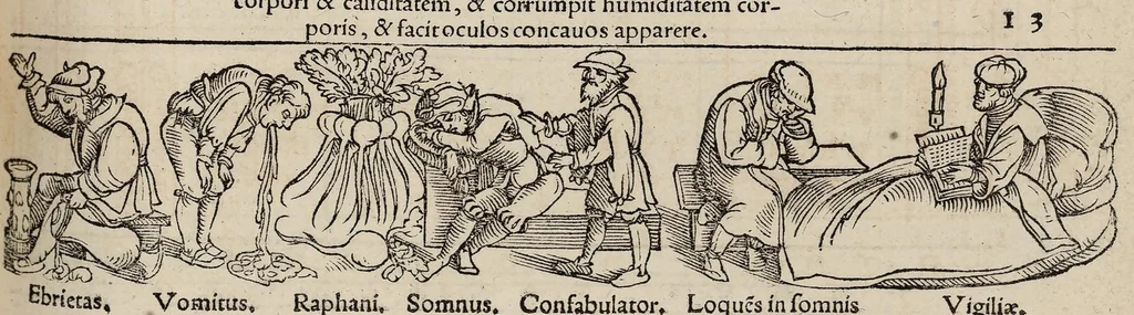 An illustration from Tacuini sanitatis, 1531, leaf 102