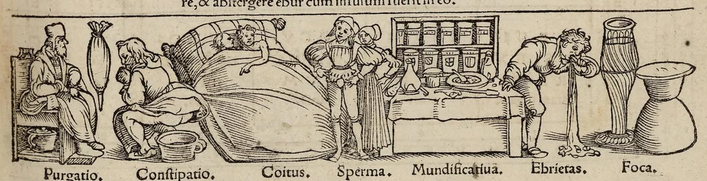 An illustration from Tacuini sanitatis, 1531, leaf 104