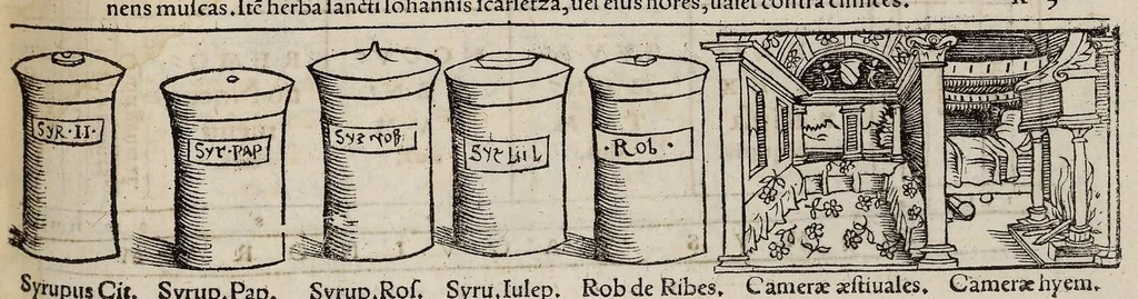An illustration from Tacuini sanitatis, 1531, leaf 114
