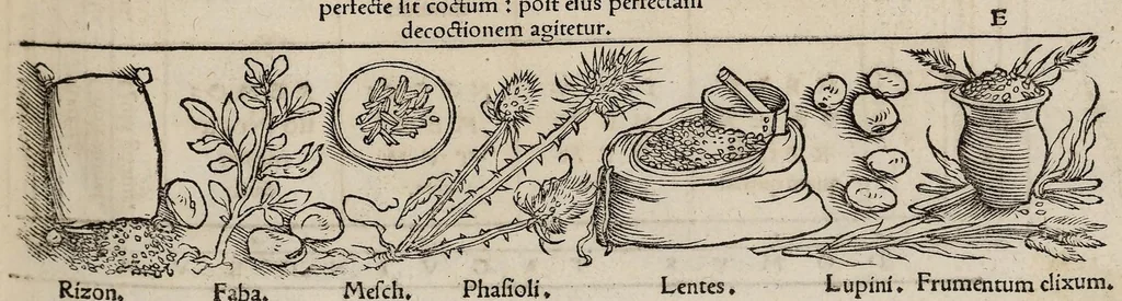 An illustration from Tacuini sanitatis, 1531, leaf 50