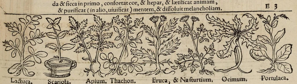 An illustration from Tacuini sanitatis, 1531, leaf 54