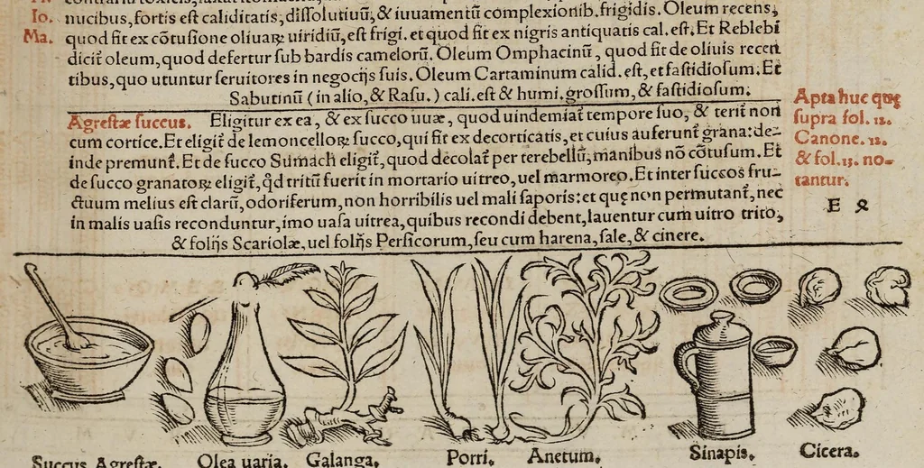 An illustration from Tacuini sanitatis, 1531, leaf 56