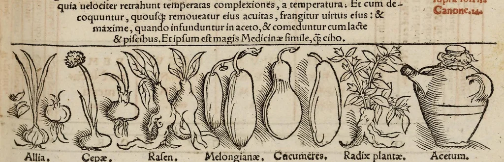 An illustration from Tacuini sanitatis, 1531, leaf 58