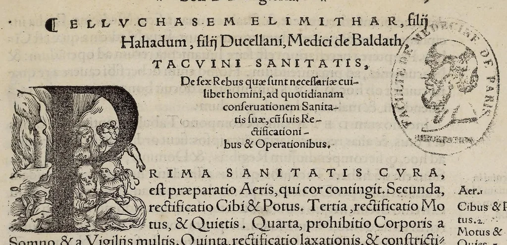An illustration from Tacuini sanitatis, 1531, leaf 6