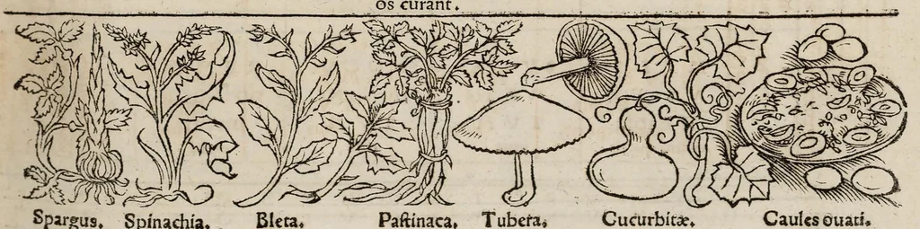 An illustration from Tacuini sanitatis, 1531, leaf 60