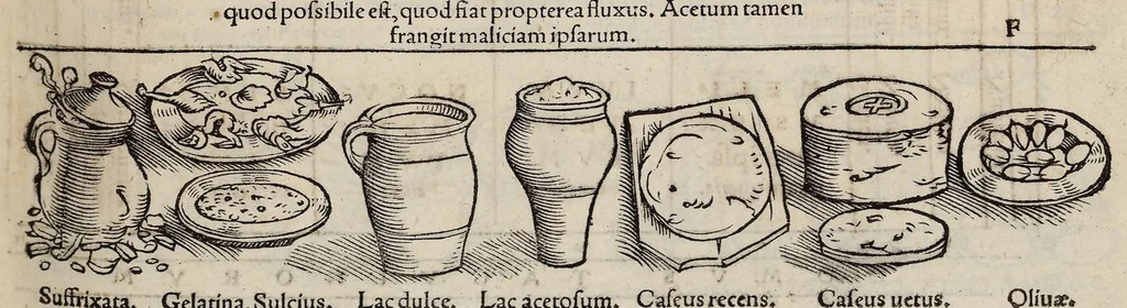 An illustration from Tacuini sanitatis, 1531, leaf 62