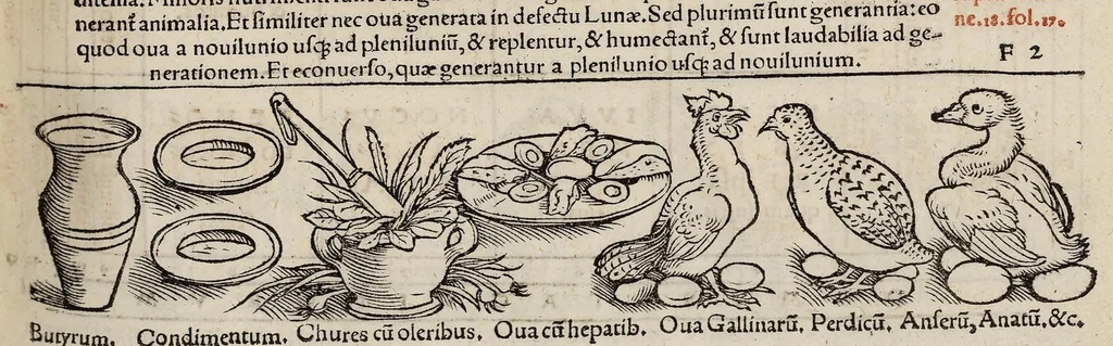 An illustration from Tacuini sanitatis, 1531, leaf 64