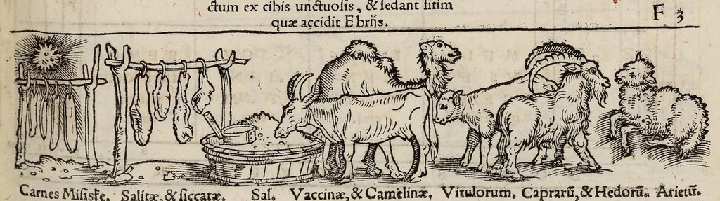 An illustration from Tacuini sanitatis, 1531, leaf 66