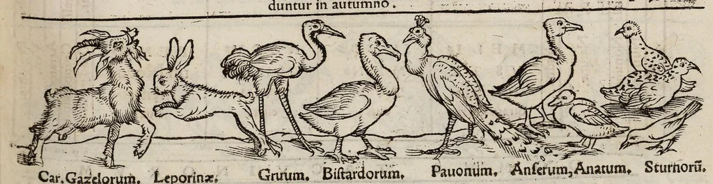 An illustration from Tacuini sanitatis, 1531, leaf 68