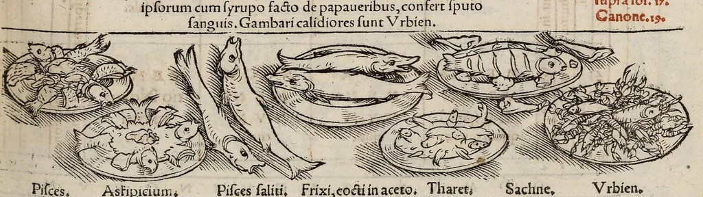 An illustration from Tacuini sanitatis, 1531, leaf 72