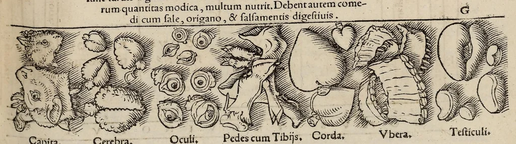 An illustration from Tacuini sanitatis, 1531, leaf 74