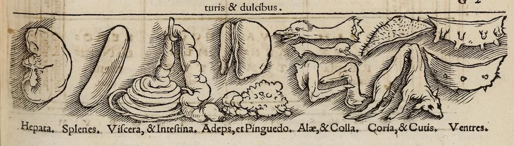 An illustration from Tacuini sanitatis, 1531, leaf 76