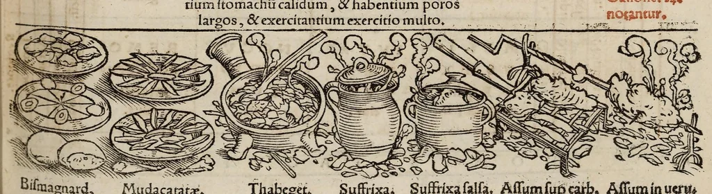 An illustration from Tacuini sanitatis, 1531, leaf 84
