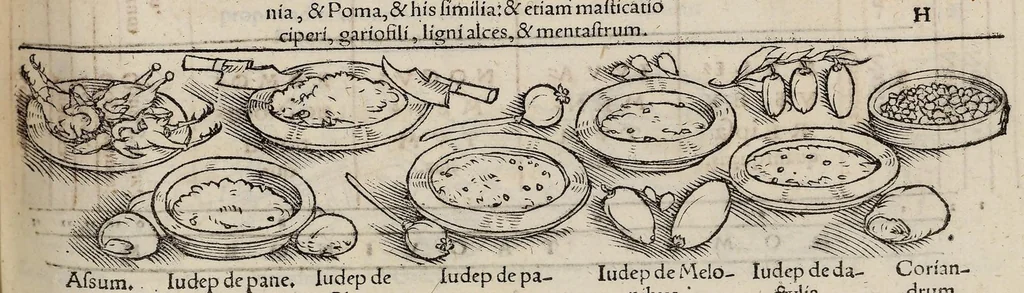 An illustration from Tacuini sanitatis, 1531, leaf 86